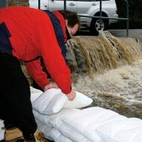 Portable Expanding Sandbags (Pack of 20) - 389210
