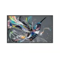 Digital Commercial Displays