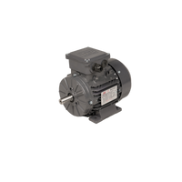 7.5kw 2 Pole Foot Mounted Motor 7.523TECAB3 IE3