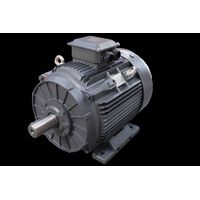45kw 2 Pole Cast Iron Motor 45.023TECCB3 IE3