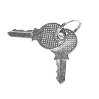 Key - Al055: Replacement Key for various Polar models