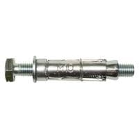 Loose Bolt Shield Anchor M10 x 75mm