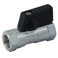 1/2inBSPF 316SS Mini Valve - 980-1/2