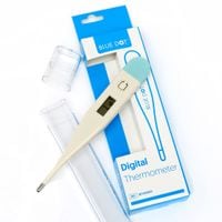 Digital Thermometer (Each)