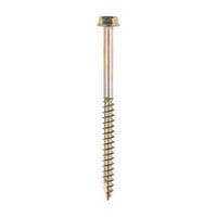 Coach Screws