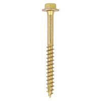 Coach Screws