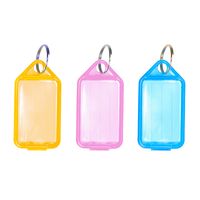 Coloured Key Tags - KEYTAGP - Pack of 6