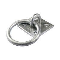 Ring on Plate Hot Dipped Galvanised - RP2GP