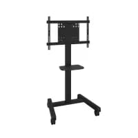 Interactive Displays & Accessories