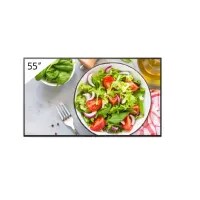 55 Inch 3840 x 2160 Pixels 4K Ultra HD IPS Panel HDMI USB Pro Bravia Display - FW-55BZ35L