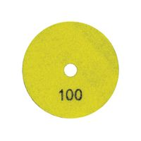 Ceramica Diamond Dry Polishing Disc 100 Grit