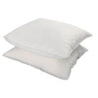Copy of Tear and Go Saver Twinpack Rapid Double Weight Absorbent Roll Chemical CRV 48/TP