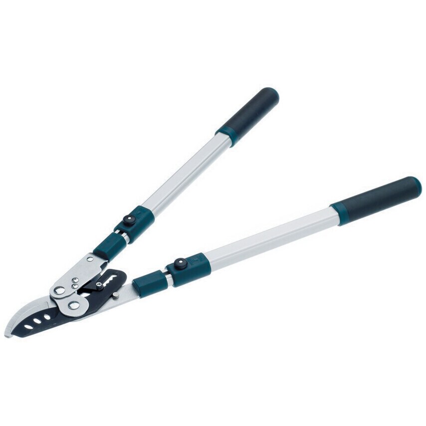 BD3113TW Lopper