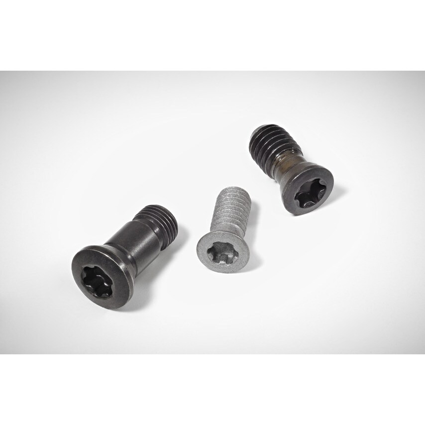 Walter Screws with Head FS747