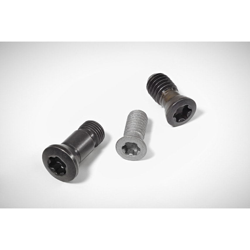 Walter Screws with Head FS433