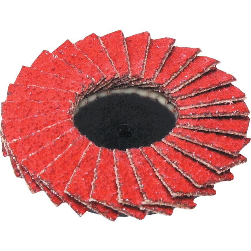 ATA Ceramiq R-Type Mini Flap Discs 50MM P80- you get 10