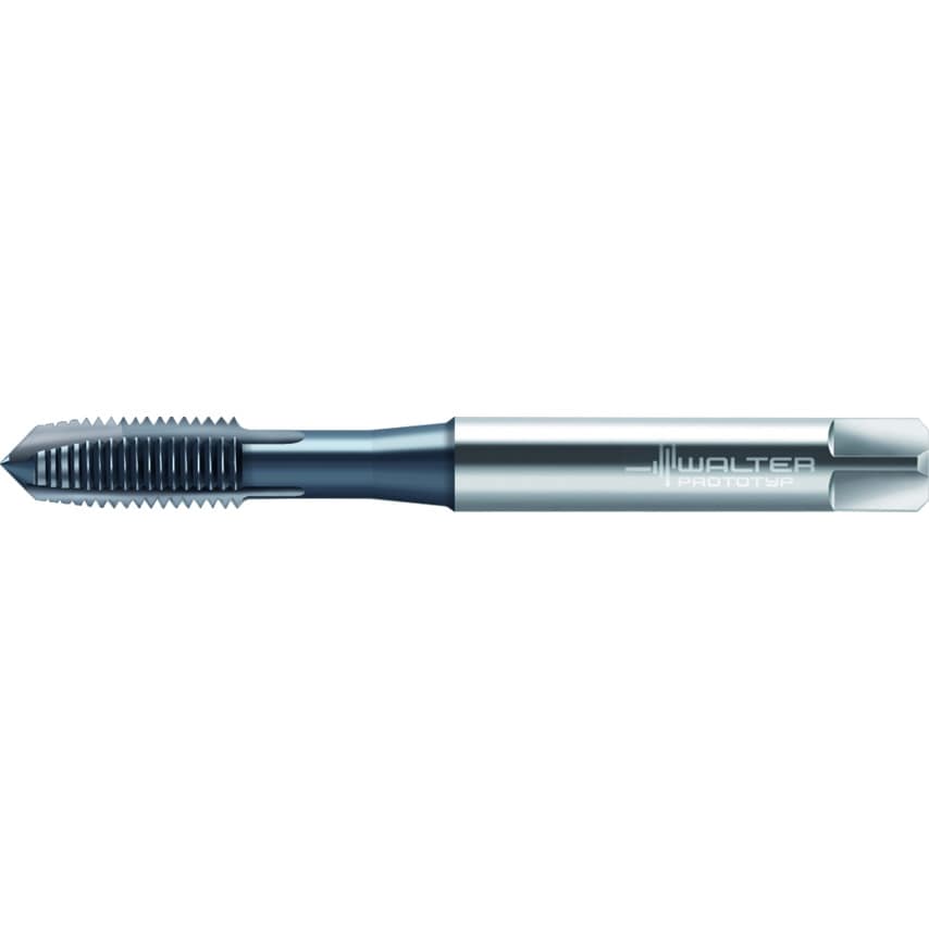 Walter HSS-E Machine Taps M2023306-M10