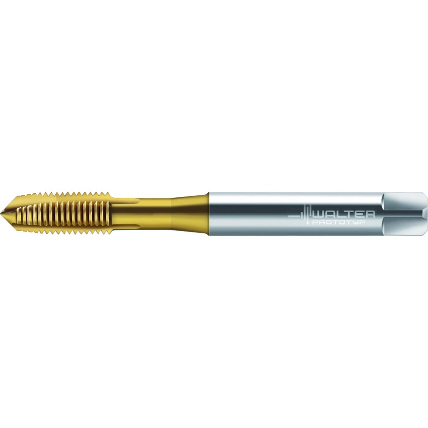 Walter HSS-E Machine Taps P2034005-M10