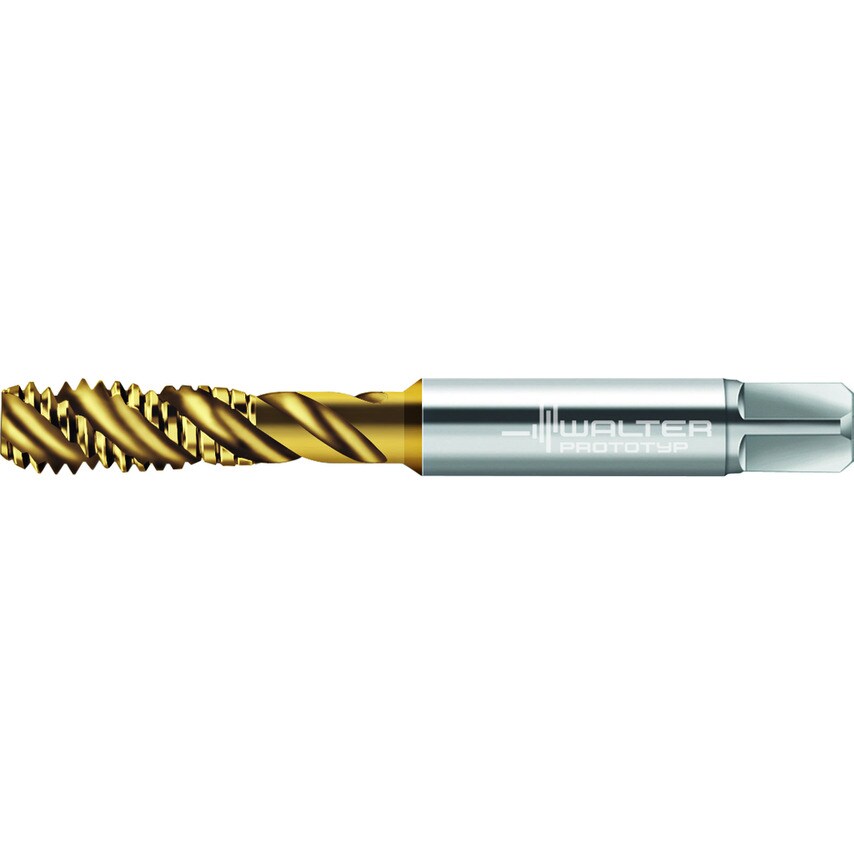 Walter HSS-E Machine Taps P2053905-M10