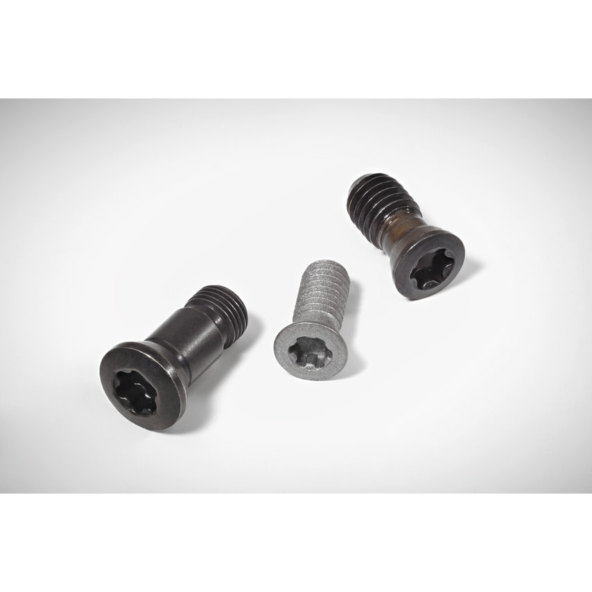 Walter Screws with Head M06X014 ISO4762 12.9