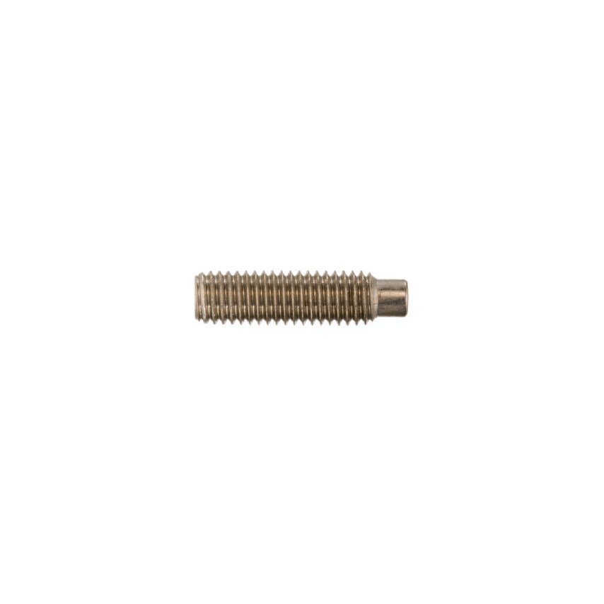 Qualfast M10X26.9 Socket Set Screw - Nylon Dog Point (GR-5.8)- you get 10