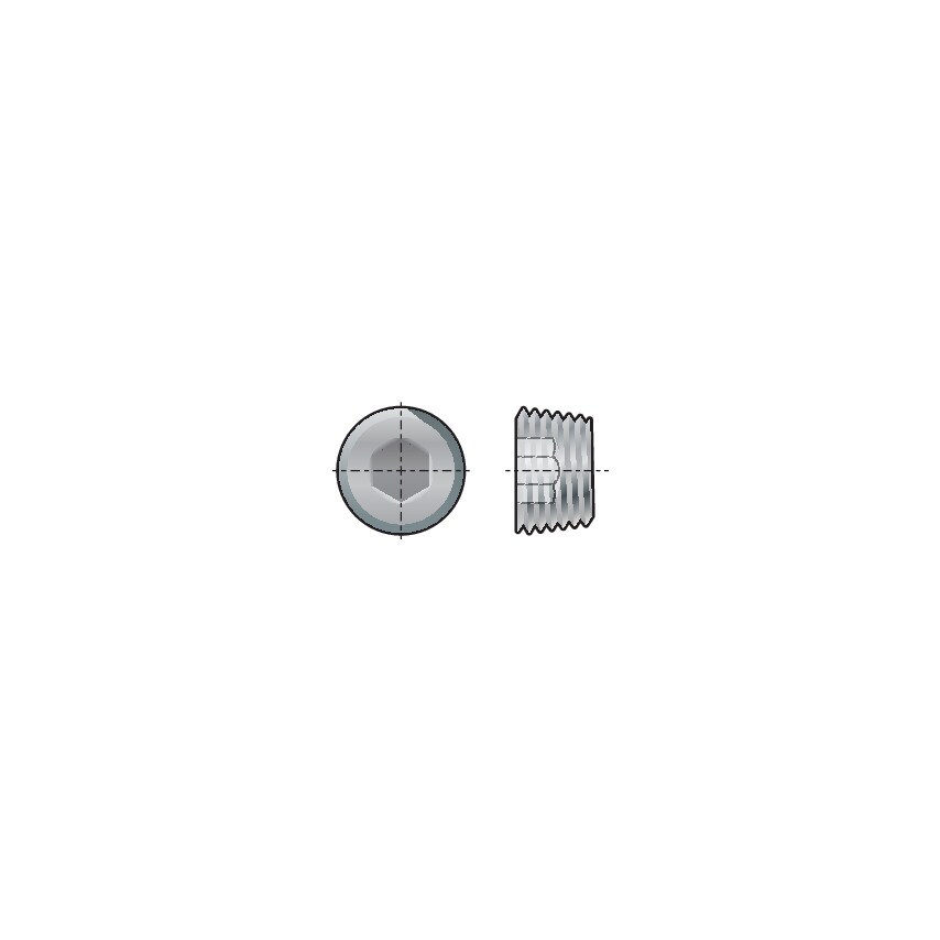 Qualfast R2. Socket Pipe Plug DIN906 (bspt) Thread- you get 10