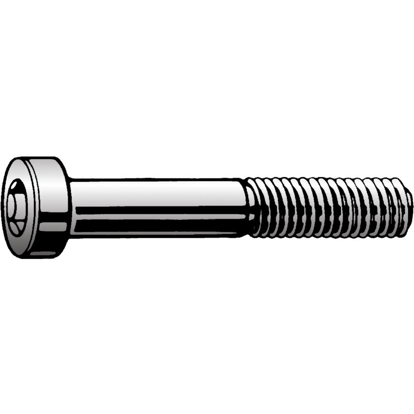 Qualfast M8X60 Socket Low Head Cap Screw A2- you get 50