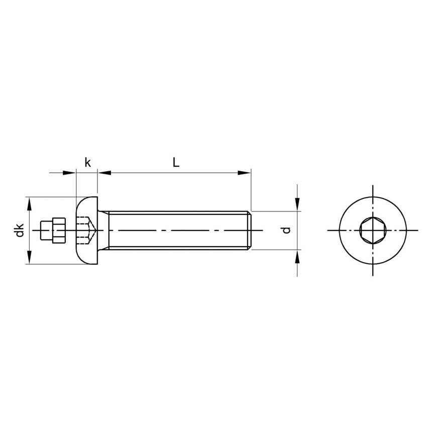 Qualfast M10X60 Security Button Head Socket Screw with Plug A2- you get 100