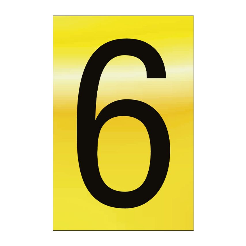 Spectrum Industrial 75mm Pol. Gold Effect - Character '6'