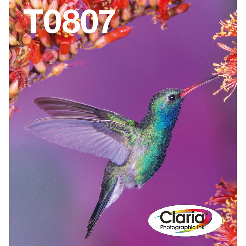 Epson Ink Low Volume T0807 Claria Photographic Ink Easy M