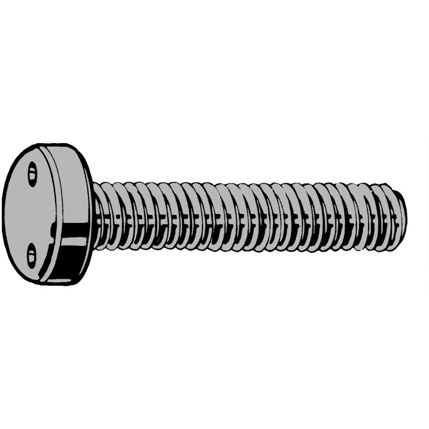 Qualfast M5X12 Security Pan Head Screw 2-Holes A2- you get 10