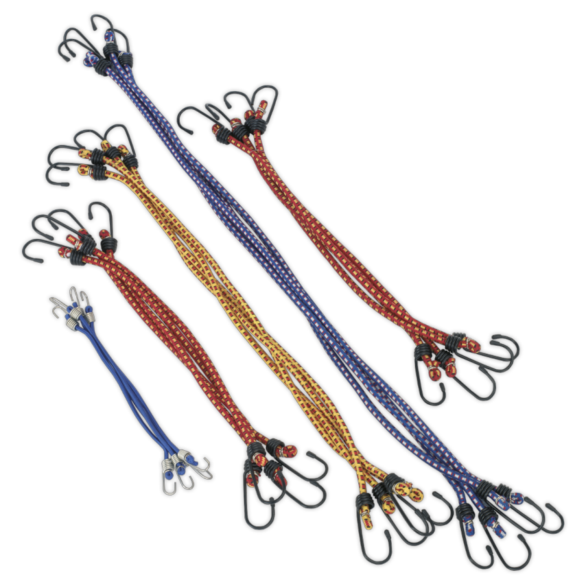 Sealey BCS20 Elastic Cord Set 20PC