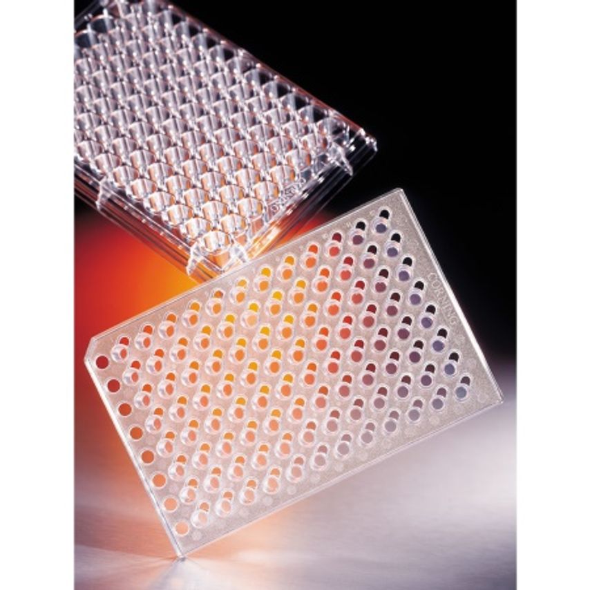 Corning Hts Transwell-96 Permeable Support With 3.0um Pore Polycarbonate Membran
