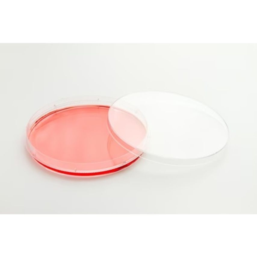 Nunc EasYDish 35mm x 1m - Pack of 500