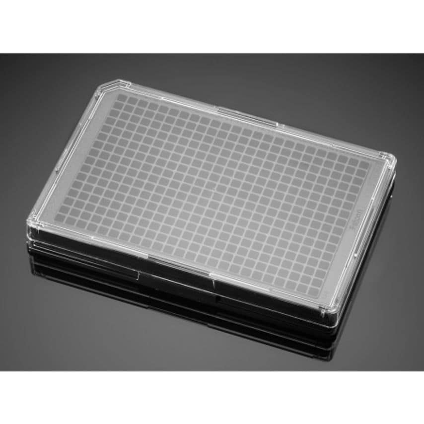 Corning 384 Well Black Clear Tissue Culture Treated Plate - Pack of 50