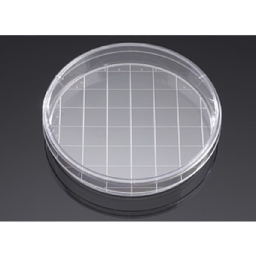 Corning Bd BioCoat Poly D Lne Coated 150mm Coated Vented Tissue Culture Dish - P