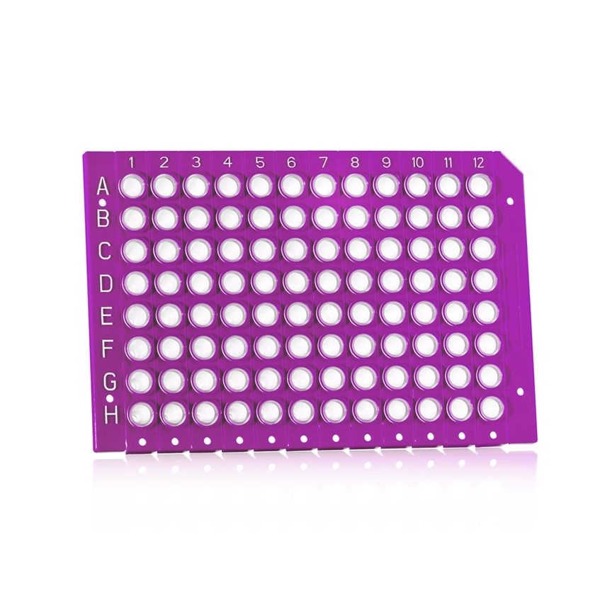 4titude Break-a-way Plate Purple Frame