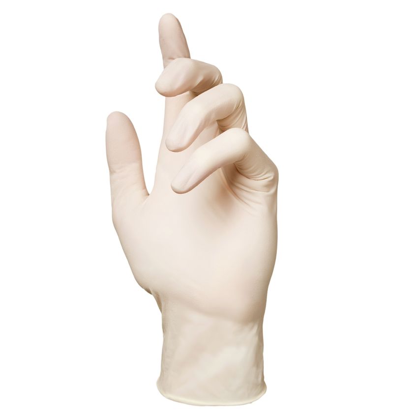 Gloveplus GlovePlus Coated Latex Gloves PF Medium  - Case Qty PK1000