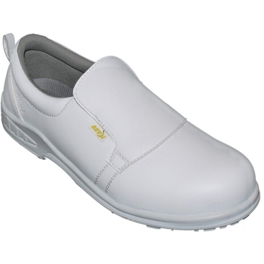 Ontario Slip Resistant Safety Shoe