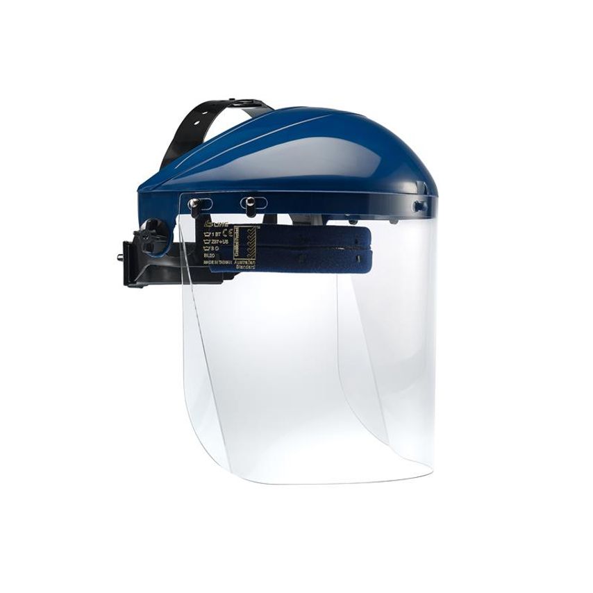 Shop Bolle BL20 Face Shield BOLBL20PI Safety, Eye Protection