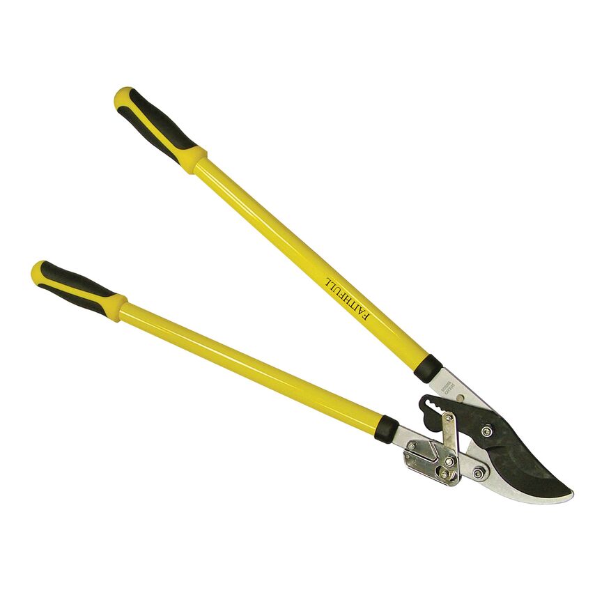 Faithfull Bypass Lopper Ratchet Action 760mm FAIBY at Zoro