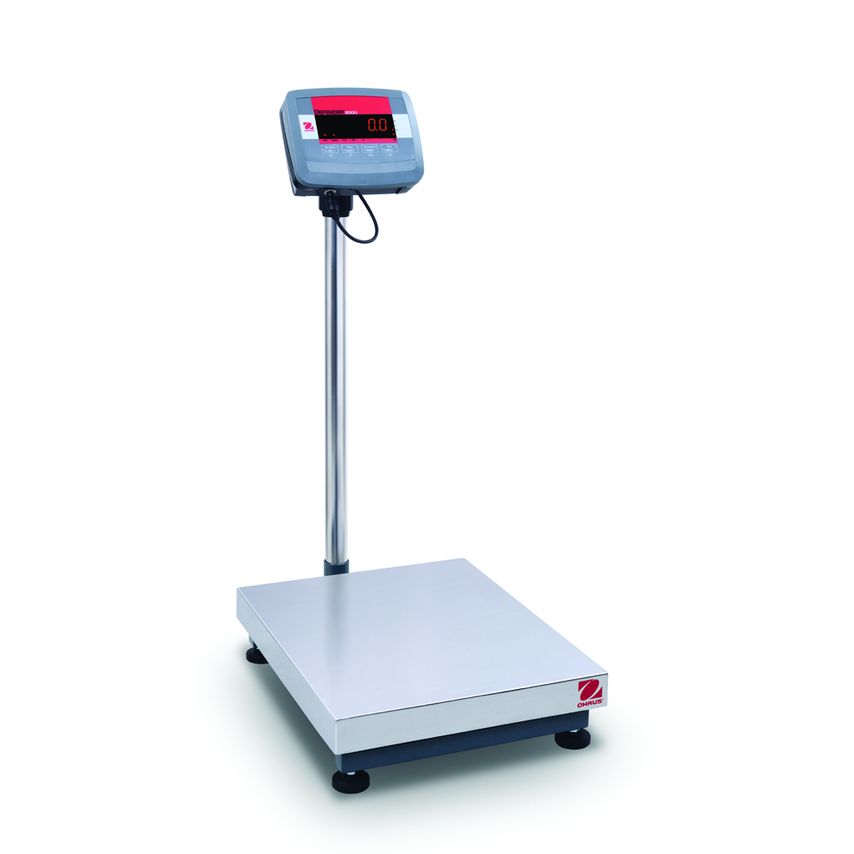 2000 Series - D24P - Bench Scales
