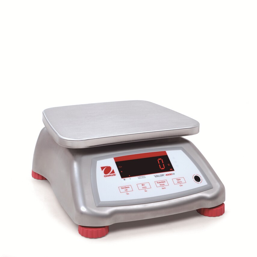 Valor Compact Scale, V41XWE1501T