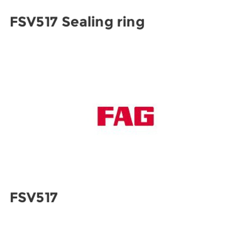 FAG FSV517 Sealing ring