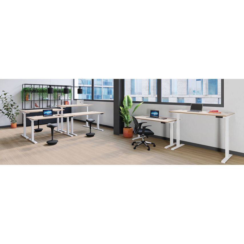 Jemini Sit Stand Desk 1600X800mm Dark Walnut/White - KF809999