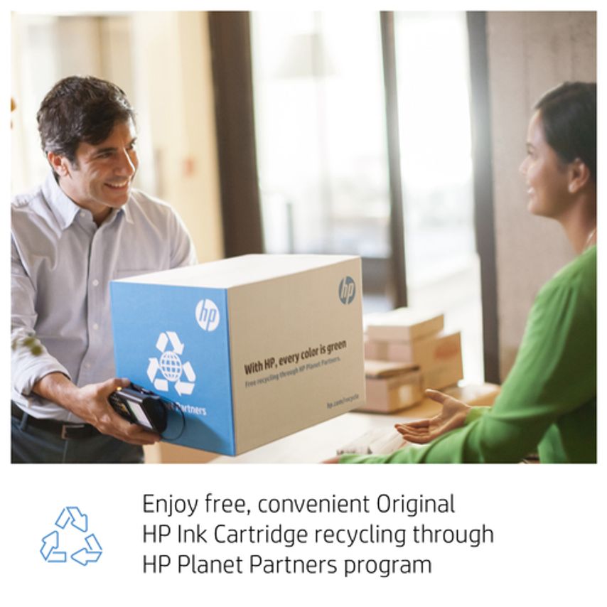 HP Ink Cartridge No 728 300Ml