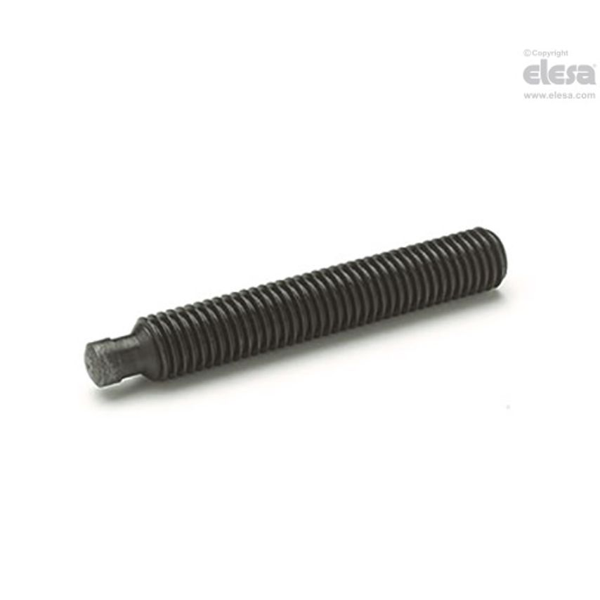 ELESA Grub screw-DIN 6332-M6-45-SKN