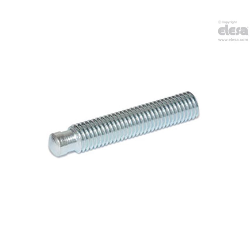 ELESA Grub screw-DIN 6332-M10-65-SKN-NI