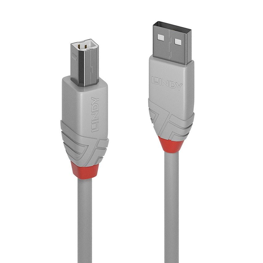 Lindy 5M Usb 2.0 Type A To 4R72405- you get 43