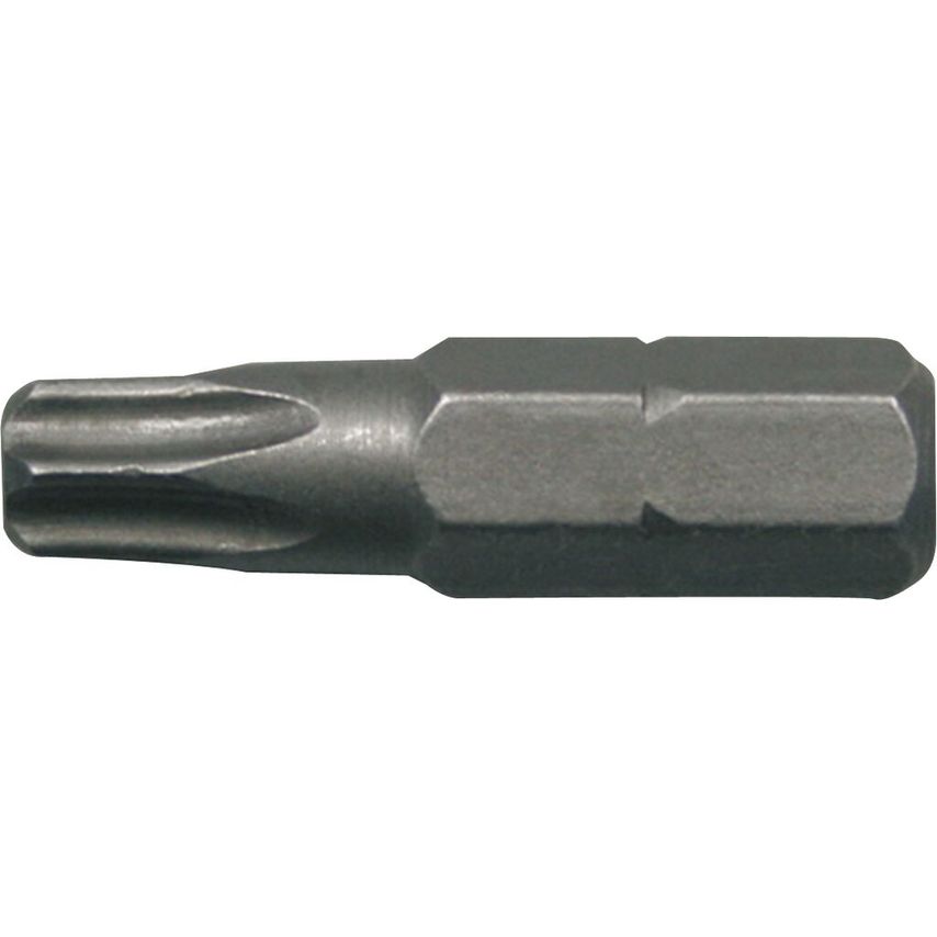 EGA Master Blister of 10 Bits Tamper TORX TT-25 25mm Masterbit (2 Bli- you get 6